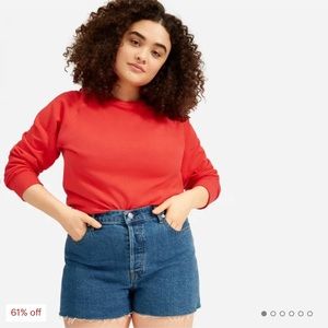 Everlane Cheeky Short size 27